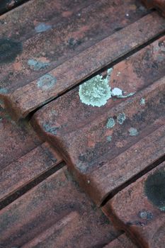 Old roof tiles with lichens closeup vintage background high quality big size prints