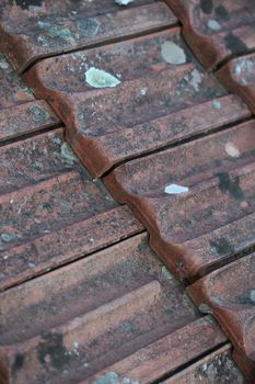 Old roof tiles with lichens closeup vintage background high quality big size prints