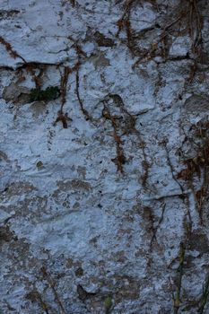 Abandoned wall with dead roots close up vintage village background high quality big size prints