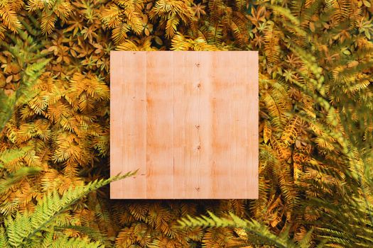 Top view of 3D rendering of empty wooden box placed in lush fern leaves in autumn forest