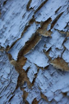 Old wooden door damaged from time close up background high quality big size prints