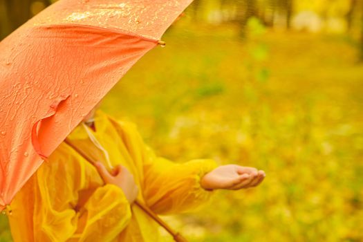 children's hand in the rain, drops falling from a orange umbrella. Autumn weather concept