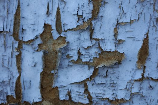 Old wooden door damaged from time close up background high quality big size prints