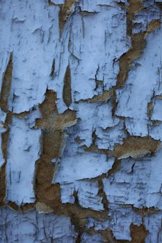 Old wooden door damaged from time close up background high quality big size prints