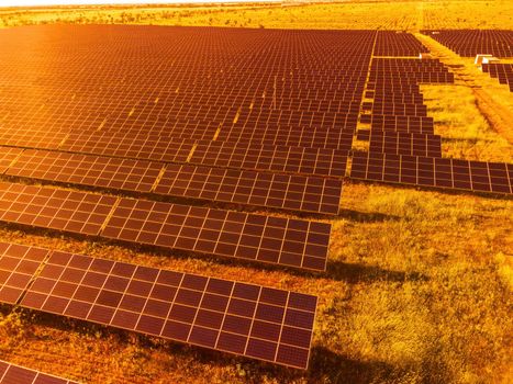 Aerial top view of a solar panels power plant. Photovoltaic solar panels at sunrise and sunset in countryside from above. Modern technology, climate care, earth saving, renewable energy concept