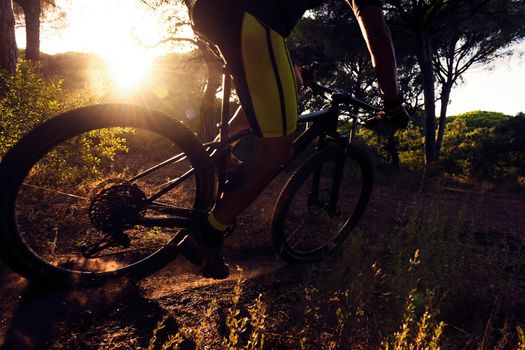 Backlit cyclist rides at full speed on a mountain bike at sunset on a sand road of a pine forest. the dust makes the sun's rays appear. motion blur, dark mood