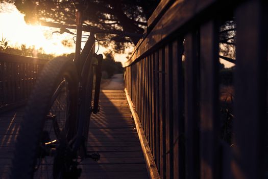 Mountain bike illuminated by the sunlight of sunset resting on a wooden bridge of a rural road, the rays of sun sneak between the branches of a large tree in silhouette. Dark mood, lens blur