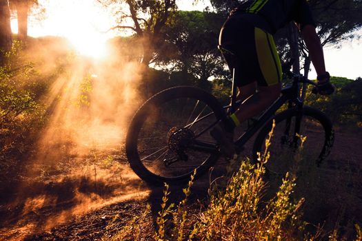 Backlit cyclist rides at full speed on mountain bike skidding at sunset on a sandy path of a pine forest. the dust makes the sun's rays appear. motion blur, dark mood