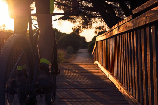 Cyclist backlit on mountain bike passes on a wooden bridge of a rural road, the sunbeams illuminate the rider. the golden light illuminates the wood and leaves the trees in silhouette. Dark mood