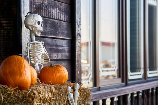 the night of October 31, the eve of All Saints' Day, commonly celebrated by children who dress in costume and go door asking for candy. Halloween skeleton on a hay, orange pumpkins and gray windows