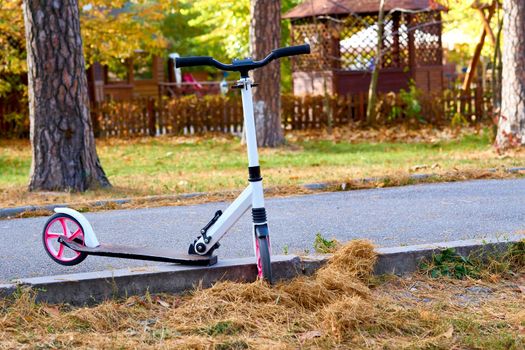 a light two-wheeled open motor vehicle on which the driver sits over an enclosed engine with legs together and feet resting on a floorboard.White pink scooter on an autumn asphalt path in a park.
