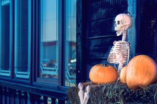 the night of October 31, the eve of All Saints' Day, commonly celebrated by children who dress in costume and go door asking for candy. White halloween skeleton on a hay, orange pumpkins, blue windows