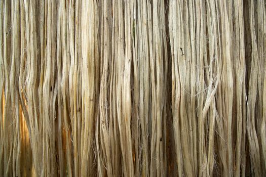 Closeup shot of raw jute fiber hanging under the sunlight for drying. Brown jute fiber texture and  background