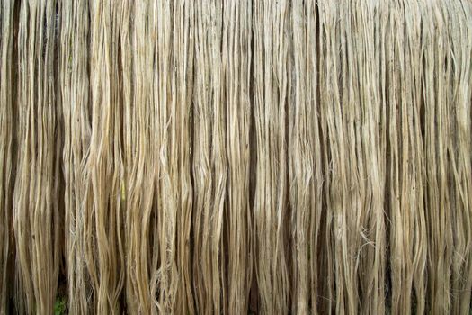 Closeup shot of raw jute fiber hanging under the sunlight for drying. Brown jute fiber texture and  background