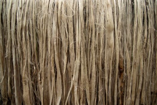 Closeup shot of raw jute fiber hanging under the sunlight for drying. Brown jute fiber texture and  background