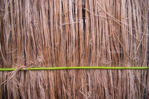 Golden wet raw jute fiber hanging under the sunlight for drying. Golden jute fiber texture background