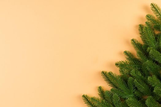 Top view of green fir tree branches on colorful background. New year holiday concept with empty space for your design.