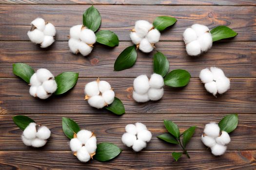 Autumn Floral Flat lay background composition. Dried white fluffy cotton flower branchwith green leaf top view on colored table with copy space.