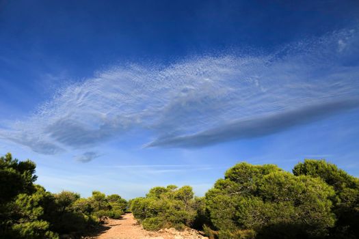 Landscape in the countryside with altocumulus clouds in the morning in Spain