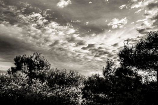 Landscape in the countryside with altocumulus clouds in the morning in Spain