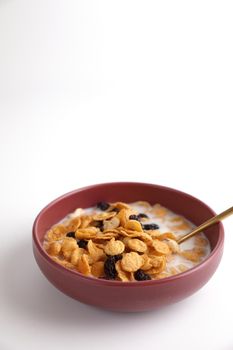 Cereal dessert with corn oat and dry fruits isolated in white background