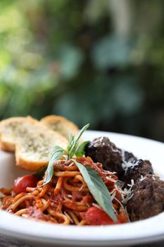 Spaghetti Meatballs on wood background