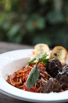 Spaghetti Meatballs on wood background