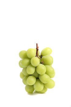 Green grape isolated in white background