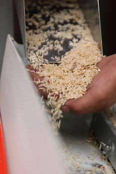 Factory machine Milling rice in close up