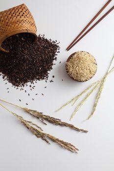 Organic raw brown rice and riceberry rice in close up