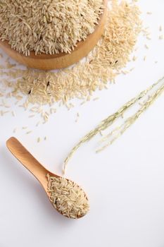 Organic raw brown rice in close up