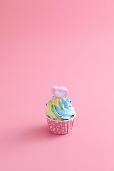 colorful cupcake isolated in pink background