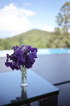 purple flower in jar on home