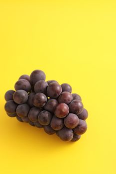 Red grapes isolated in yellow background