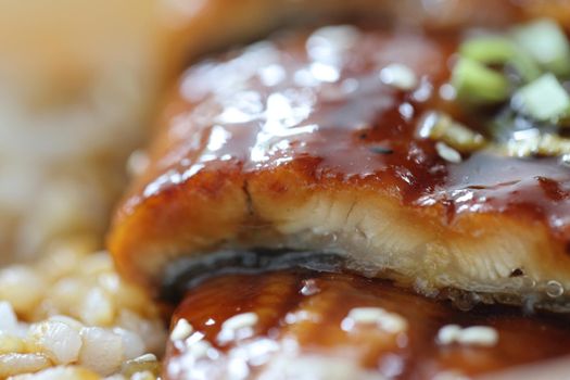 Japanese food eel grilled with rice Unagi don in close up