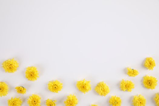 Yellow flowers isolated in white background in top view