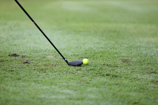 Golf ball on green grass ready to be struck on grass background