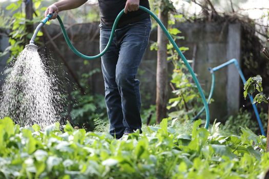 Male legs with watering plants in home garden