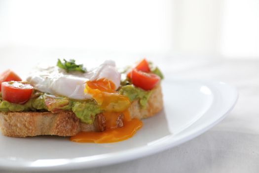 Poached eggs with avocado on toast in white background