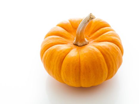 Small orange pumpkins on white background.