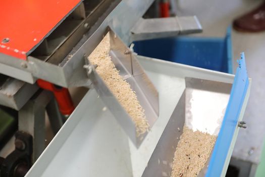 Factory machine Milling rice in close up