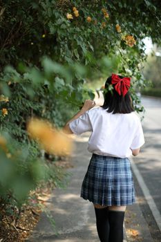 Asian school girl walking and looking in urban city with tree background