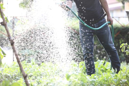 Male legs with watering plants in home garden