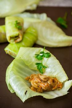 Raw cabbage rolls stuffed with meat and mushrooms. Cooking process.