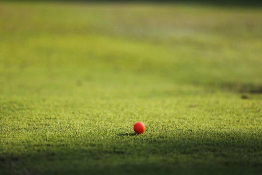 Young male golfer player on golf course