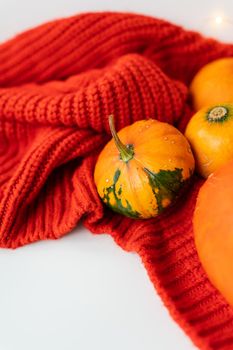 Different bright orange pumpkins on a red background lie on a knitted fabric. Autumn, warmth, comfort