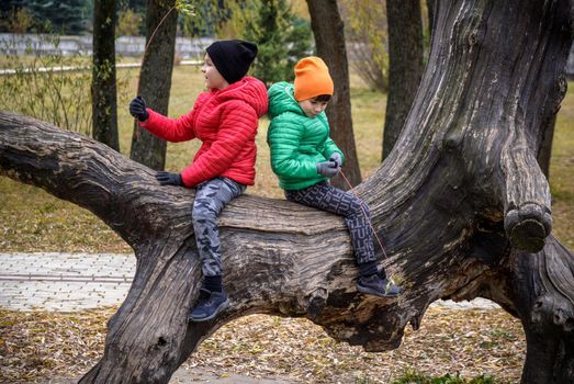 Two boys are sitting on a log. The child walks in the summer park or forest. The kid sits on a fallen tree. Outdoor fun for children.