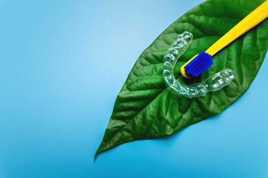 a bright toothbrush along with a plastic bracket lies on a green leaf from a flower, orthodontic and cosmetic dental care.