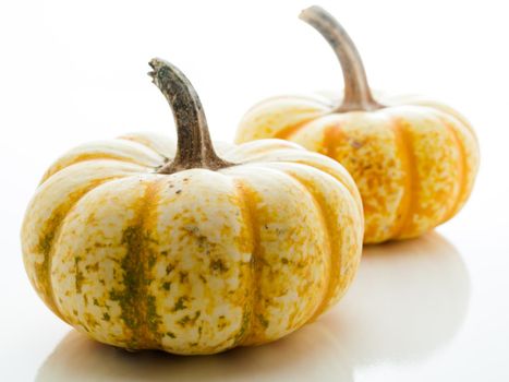 Small multi-color pumpkins on white background.