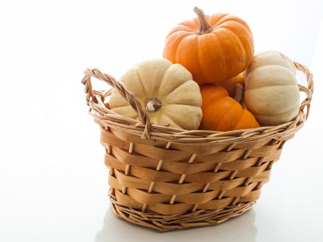 Small orange and white pumpkins in basket on white background.